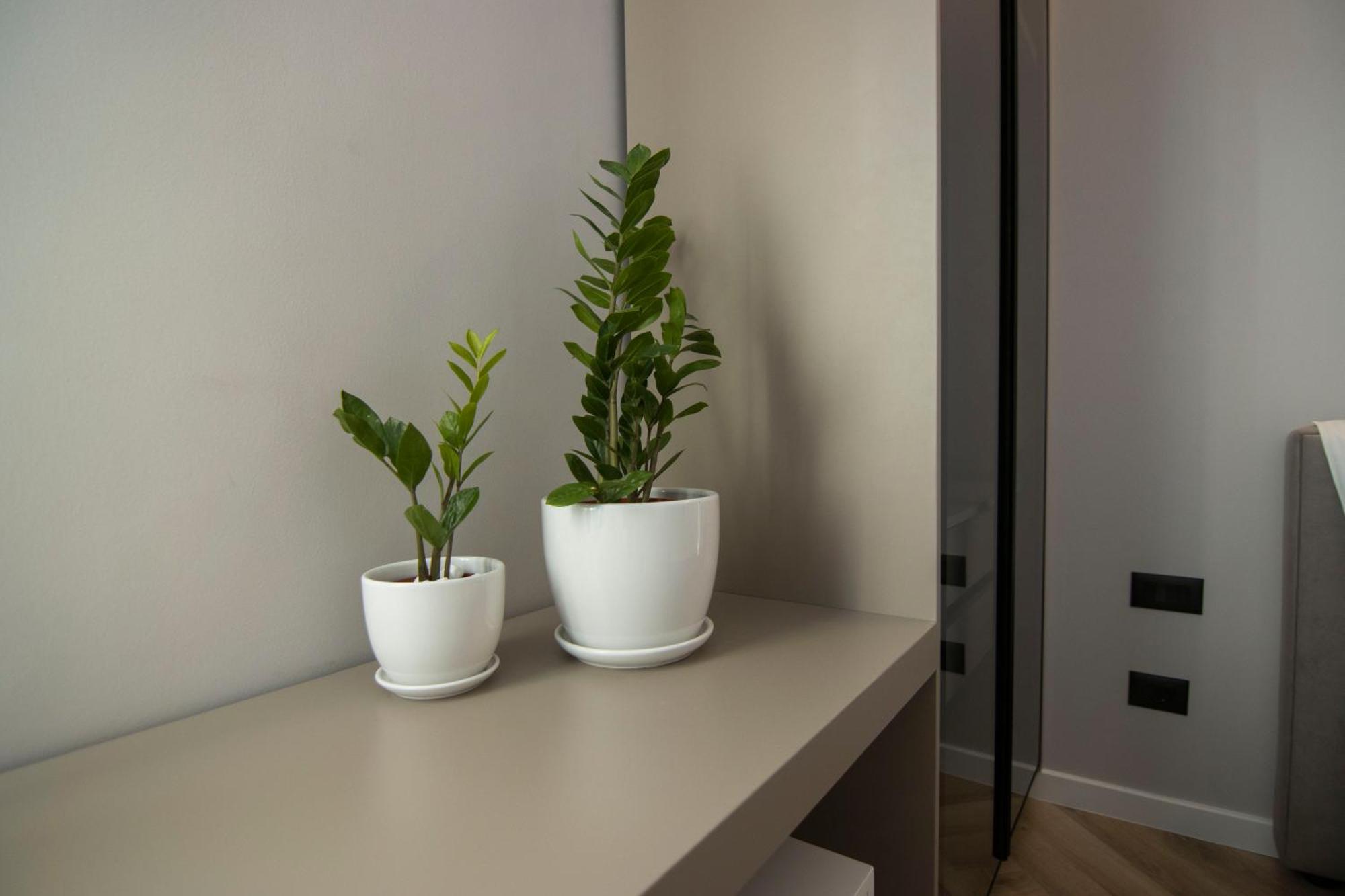 Mina Luxury Rooms Tirana Exterior photo